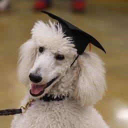 photograph by PeterW